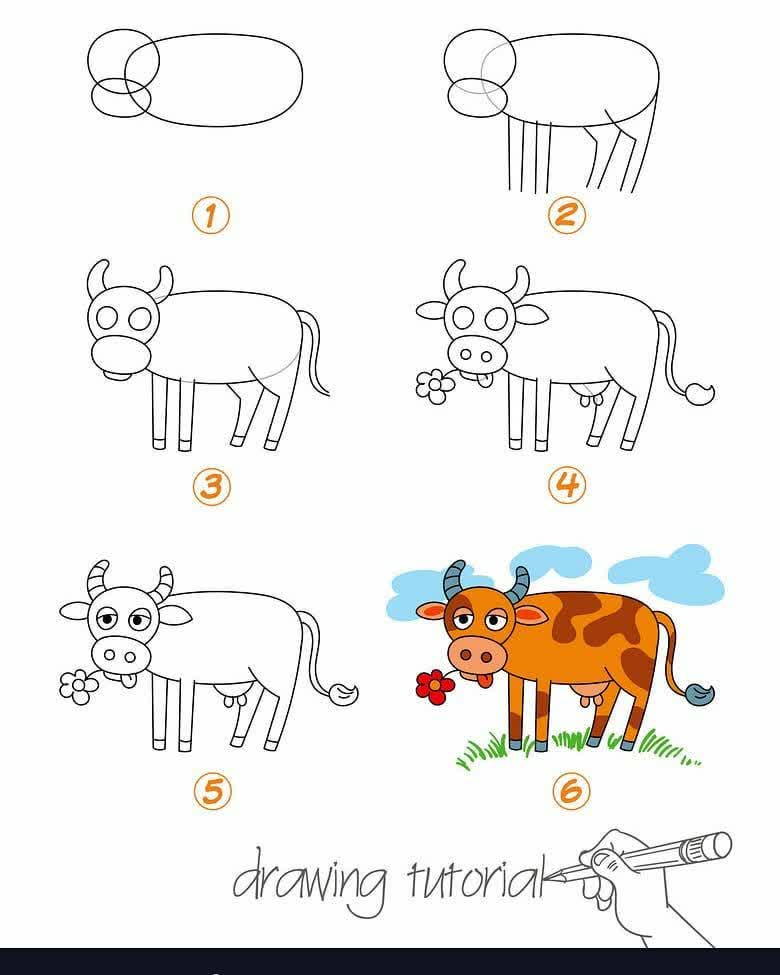 آموزش نقاشی گاو