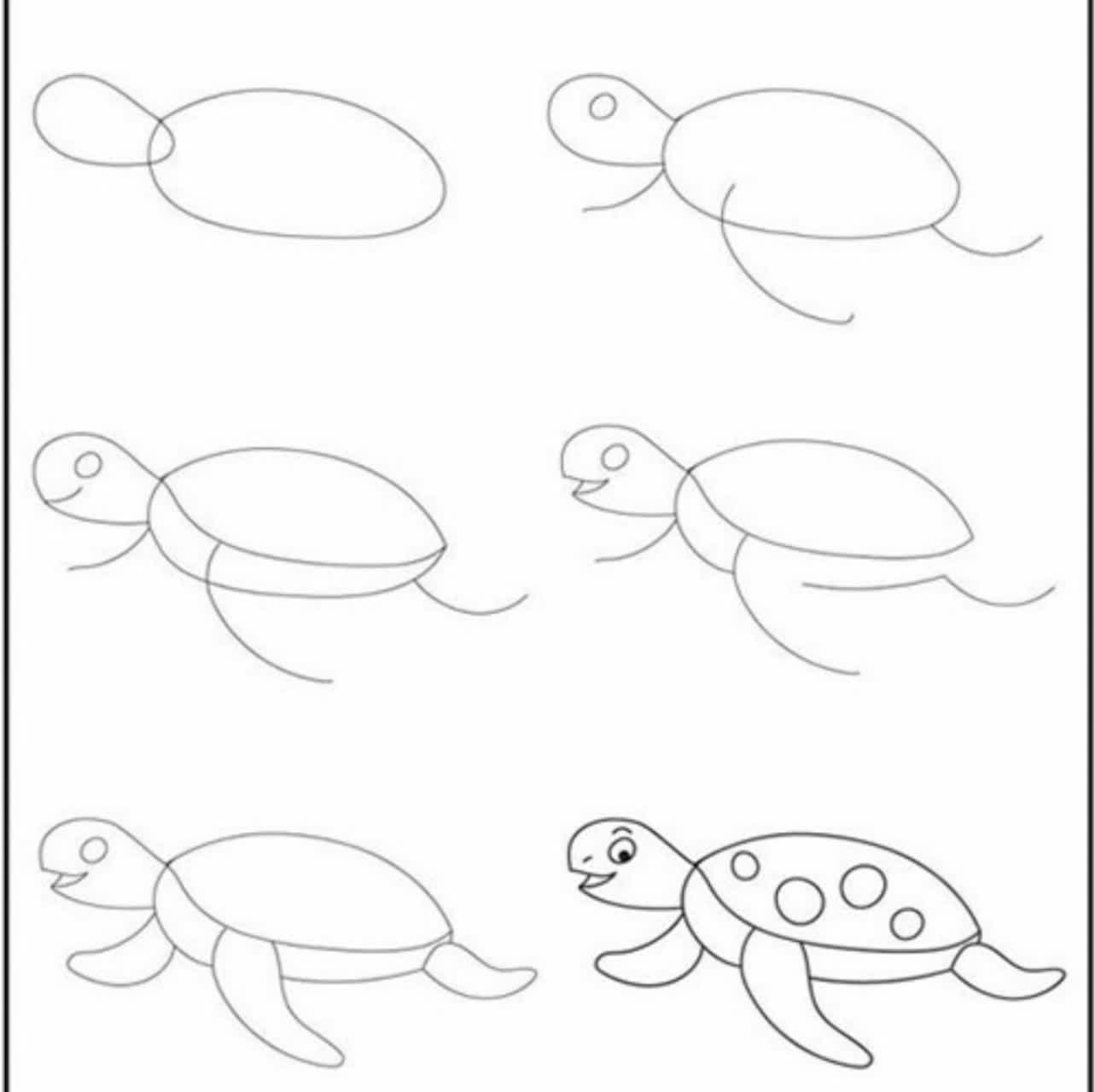 آموزش گام به گام نقاشی لاکپشت