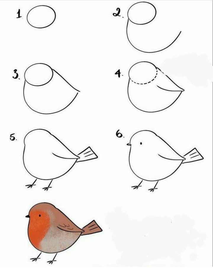 آموزش مرحله به مرحله نقاشی پرنده 
