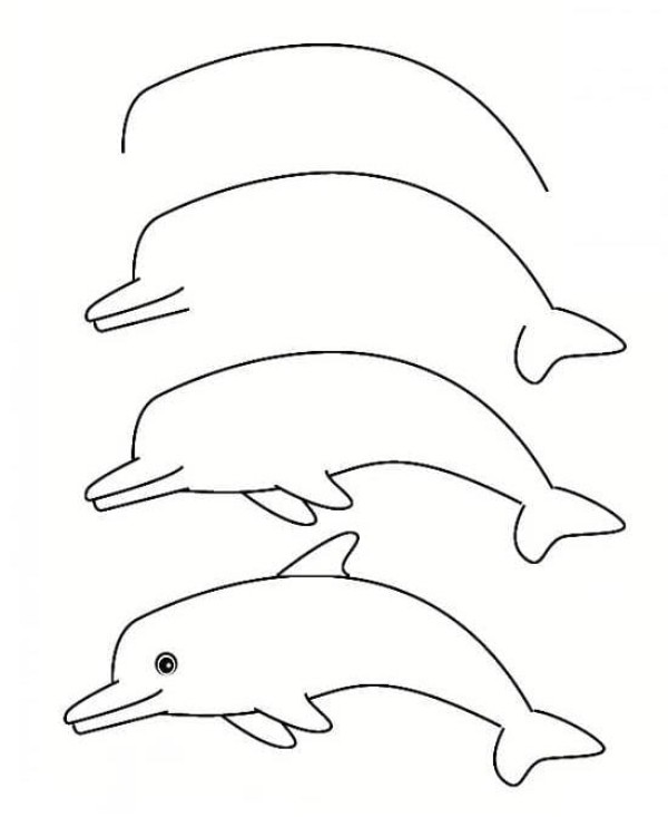 آموزش نقاشی دلفین