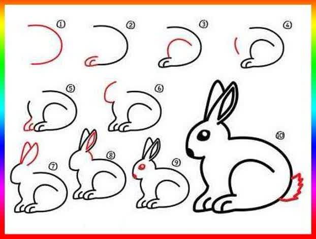 آموزش  نقاشی خرگوش