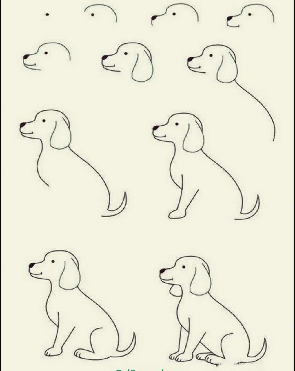 آموزش نقاشی سگ