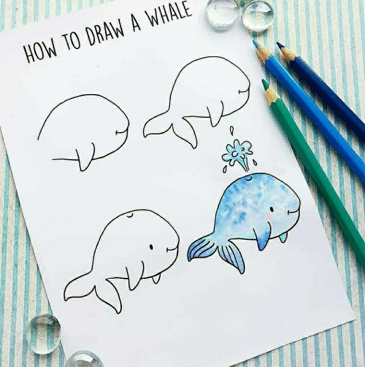 آموزش نقاشی نهنگ