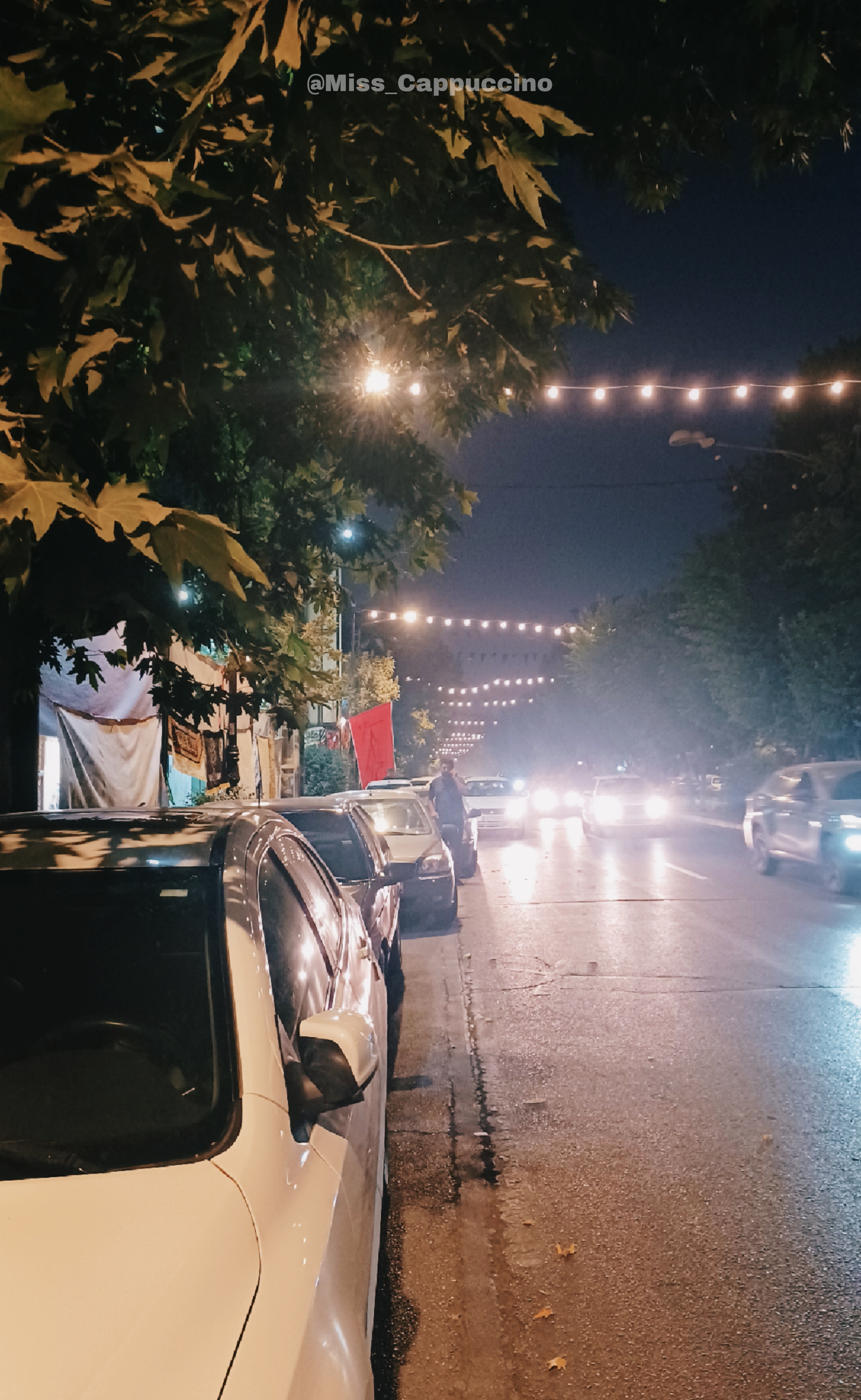 سیده مهتا میراحمدی
