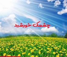 چشمک خورشید به گلها